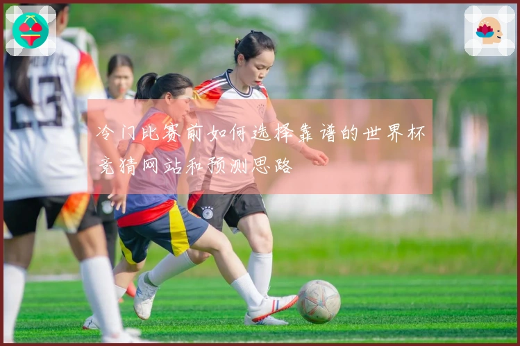 冷门比赛前如何选择靠谱的世界杯竞猜网站和预测思路