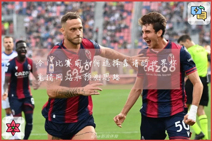 冷门比赛前如何选择靠谱的世界杯竞猜网站和预测思路