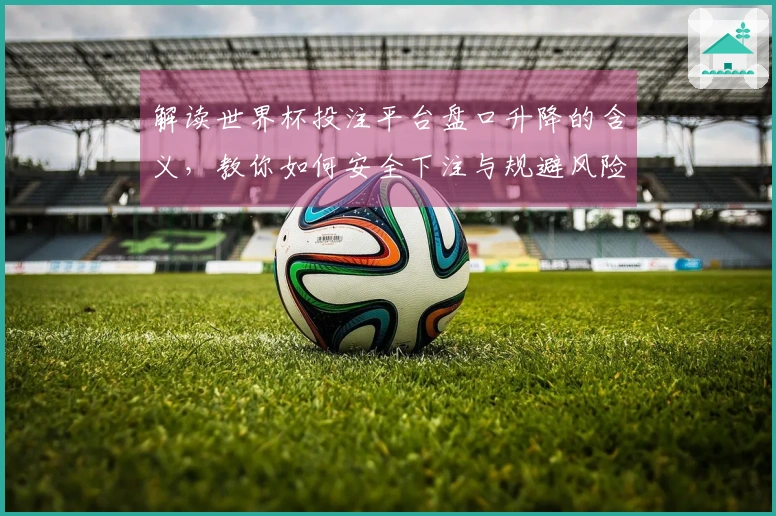 解读世界杯投注平台盘口升降的含义，教你如何安全下注与规避风险